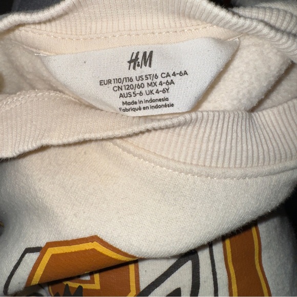 H&M Cream Sweatshirt Tiger Graphic Toddler Boy Size 5T - Picture 3 of 3